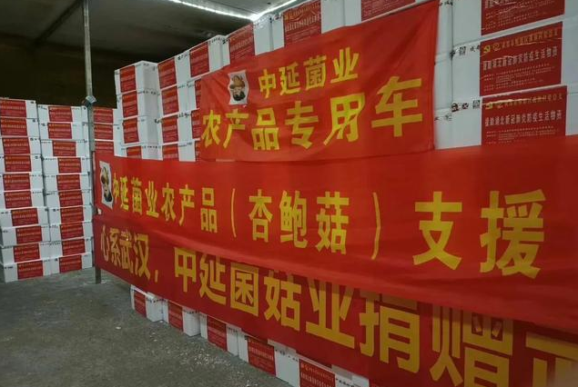 滿(mǎn)載著成都人民關(guān)愛(ài)的20噸新鮮杏鮑菇馳援湖北