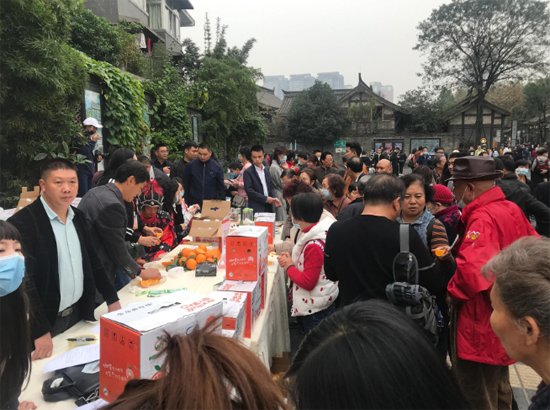 犍為柑橘紅滿天 柑橘文化旅游節(jié)承載美好鄉(xiāng)村新未來(lái)