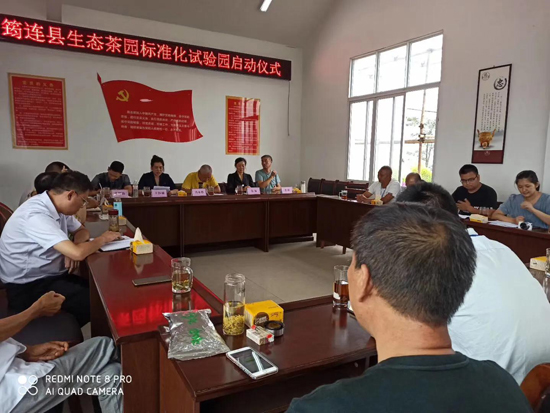 筠連茶爆猛料：初冬采新茶品質(zhì)提升群眾增收笑開顏